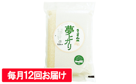 定期便 米 令和6年産 新米 真空パック5kg【毎月12回お届け】[ お米 おこめ コメ 白米 ]