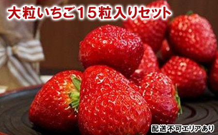 大粒いちご 15粒入りセット[ いちご イチゴ 苺 フルーツ 果物 新鮮 糖度 ]