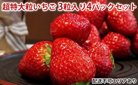 超特大粒いちご3粒入り4パックセット[ いちご イチゴ 苺 大粒 フルーツ 果物 新鮮 糖度 ]