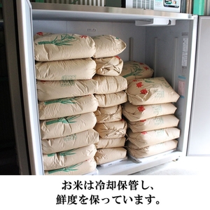 兵庫県小野市産100％ ひのひかり お米 15kg《令和4年産》（白米 ・ 玄米 選択可） 白米