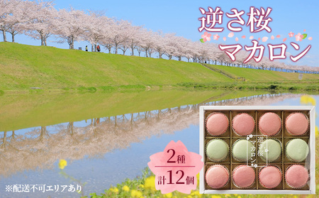 逆さ桜 マカロン 2種 食べ比べ 計12個[ スイーツ 洋菓子 焼菓子