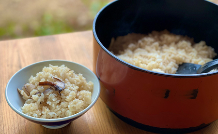 【ふるさと納税】 原木 椎茸 狩り ＆ BBQ 4名様 体験券 しいたけ シイタケ 椎茸狩り バーベキュー 体験 チケット ふるさと納税 ふるさと 人気 家族 レジャー アウトドア おすすめ 送料無料 兵庫県 三田市 [3d28bae310000]