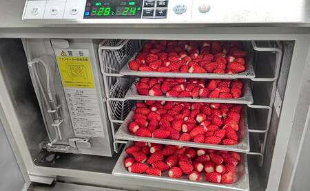 【ふるさと納税】 冷凍 いちご 2キロ 冷凍品 アイス 夏 苺 イチゴ ストロベリー 果物 スイーツ おやつ 冷たい 食品 ギフト ふるさと納税 ふるさと 人気 おすすめ 送料無料 兵庫県 三田市 [3d28bae310005]