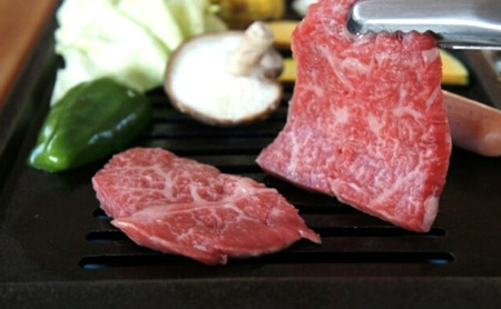 【ふるさと納税】 黒毛和牛・三田ポーク・名古屋コーチンの三種盛り バーベキュー・ペア食事券  チケット 食事券 アウトドア BBQ ギフト お祝い 贈答品 中元 歳暮 数量限定 期間限定 人気 ふるさと納税 ふるさと 人気 おすすめ 送料無料 兵庫県 三田市 [3d28bae580000]