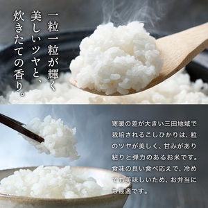  令和6年産 三田米 コシヒカリ 10kg 米 お米 白米 新米 精米 こめ コメ こしひかり ご飯 数量限定 訳あり ふるさと納税 ふるさと 人気 おすすめ 送料無料 兵庫県 三田市