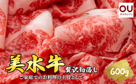 美水牛 贅沢 切落し 600ｇ ( 200ｇ×３ ) 牛肉 冷凍品 ギフト 肉 お祝い 但馬牛 神戸牛 三田牛 数量限定 訳あり ふるさと納税 ふるさと 人気 おすすめ 送料無料 兵庫県 三田市