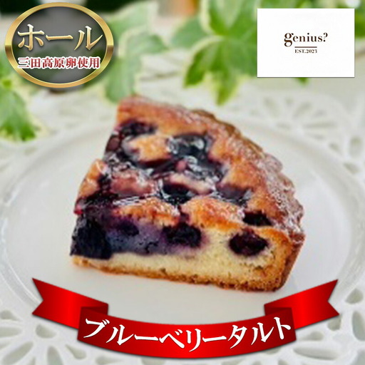 【ふるさと納税】 ブルーベリータルト ホール ( 三田高原卵使用 ブルーベリータルト ( 冷凍 ) 1ホール ) 洋菓子 焼き菓子 タルト ブルーベリー スイーツ ギフト 贈答 お菓子 おやつ 数量限定 訳あり 送料無料 兵庫県 三田市 [3d28bae530028]