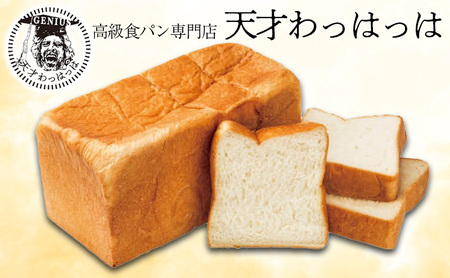 プレーン食パン10本セット