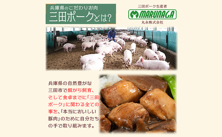 三田ポークの魯肉飯 ( ルーローハン 台湾料理の丼 ご飯の素 うずら卵入り 160g 10食セット )健康志向 常温長期保存 保存食 防災 災害備蓄 数量限定 訳あり ふるさと納税 ふるさと 人気 おすすめ 送料無料 兵庫県 三田市