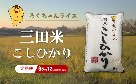 【定期便】 期間限定 令和6年度産 三田米 コシヒカリ 5kg 12か月連続 こめ コメ お米 白米 こしひかり 数量限定 訳あり ふるさと納税 ふるさと 人気 おすすめ 送料無料 兵庫県 三田市