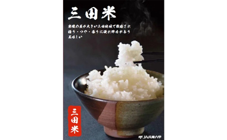 【定期便】 期間限定 令和6年度産 三田米 コシヒカリ 5kg 12か月連続 こめ コメ お米 白米 こしひかり 数量限定 訳あり ふるさと納税 ふるさと 人気 おすすめ 送料無料 兵庫県 三田市