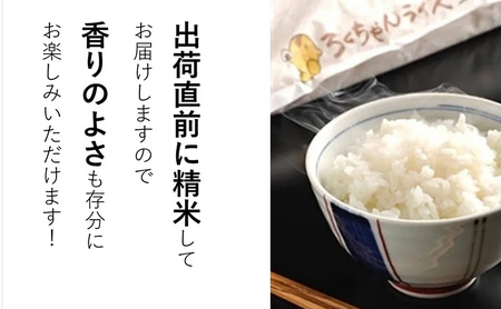 【定期便】 期間限定 令和6年度産 三田米 コシヒカリ 5kg 12か月連続 こめ コメ お米 白米 こしひかり 数量限定 訳あり ふるさと納税 ふるさと 人気 おすすめ 送料無料 兵庫県 三田市