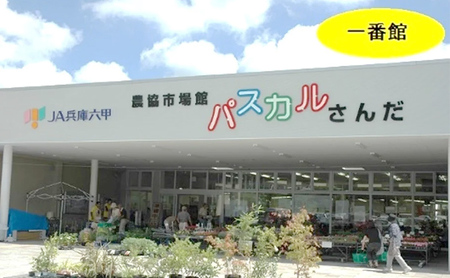 【定期便】 期間限定 令和6年度産 三田米 コシヒカリ 5kg 12か月連続 こめ コメ お米 白米 こしひかり 数量限定 訳あり ふるさと納税 ふるさと 人気 おすすめ 送料無料 兵庫県 三田市