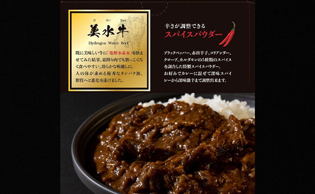 美水牛スーパースパイスビーフカレー 4箱セット 美水牛 レトルトカレー ギフト 人気 おすすめ 兵庫県 三田市 兵庫県 [3d28bae590005]