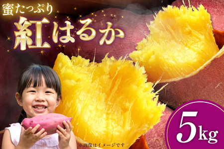 さつまいも 紅はるか 5kg 【2025年11月前半～2026年3月後半配送】 [SSSファーム 兵庫県 三田市 3d28bed520000]