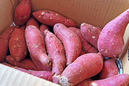 さつまいも 紅はるか 5kg 【2025年11月前半～2026年3月後半配送】 [SSSファーム 兵庫県 三田市 3d28bed520000]