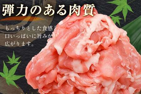 豚肉 バラエティ セット 計1.5kg 3回 定期便 [司フーズ・システム 兵庫県 三田市 3d28bdy500020]