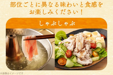 豚肉 バラエティ セット 計1.5kg 3回 定期便 [司フーズ・システム 兵庫県 三田市 3d28bdy500020]