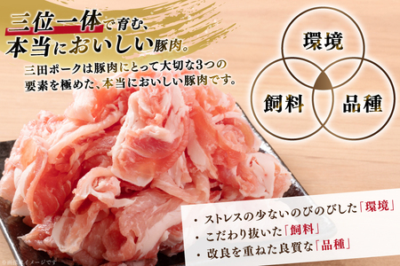 豚肉 小分け 兵庫県産 三田ポーク しゃぶしゃぶ用 3種 500g 計 1.5kg ロース 肩ロース バラ セット [パスカルさんだ 兵庫県 三田市 3d28bae660042]