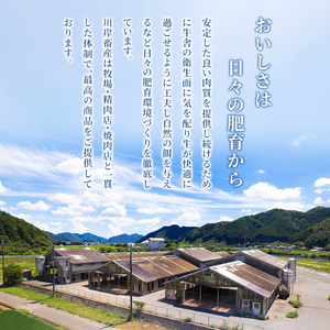 【最短7日以内発送】 神戸ビーフ 神戸牛 牝 特選焼肉 300g 川岸畜産 冷凍 肉 牛肉 すぐ届く