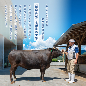 【最短7日以内発送】 神戸ビーフ 神戸牛 牝 特選焼肉 300g 川岸畜産 冷凍 肉 牛肉 すぐ届く