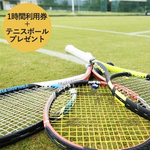 【関西唯一】天然芝テニスコート（1時間）利用券＋テニスボールプレゼント
