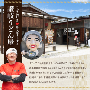 加西市で行列ができる『がいな製麺所』の 讃岐うどん セット こんぶ醤油付き （ 半生タイプ 讃岐 さぬき もっちり コシ 喉越し もちもち食感 ご当地 麺類 かけ 常温保存 有名店 人気店 老舗 製麺所 グルメ お取り寄せ ）