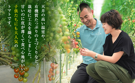 【最旬お届け!!】よしよし畑のあま~い トマト ( 中玉トマト ) 800g ~ 1kg 程度 新鮮 産地直送 冷蔵 とまと おいしい おすすめ ギフト お取り寄せ