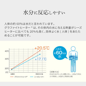 アラジン 2024年製 遠赤 グラファイトヒーター グリーン 緑 アラジンストーブ 首振り ヒーター 電気ストーブ ストーブ 生活家電 暖房 暖房器具 電化製品 家電 季節家電 インテリア 防災 首振り 防寒 2灯 CAH-G100A(G)