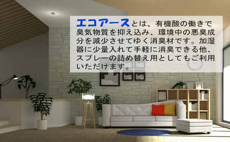 消臭スプレー エコアース ボトルタイプ 500ml 1本 消臭剤
