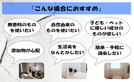 消臭スプレー エコアース ボトルタイプ 500ml 1本 消臭剤