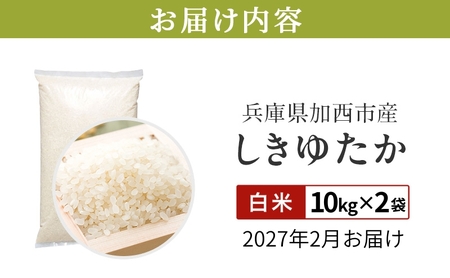 【令和8年産 先行受付】しきゆたか 白米 20kg (10kg×2)《2027年2月発送》