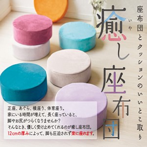 癒し座布団3色セット フレンチ アサヒ軽金属工業 日用品