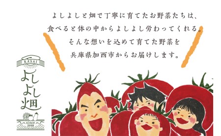 よしよし畑のあま いトマト 中玉トマト 800g 1kg程度 兵庫県加西市 ふるさと納税サイト ふるなび