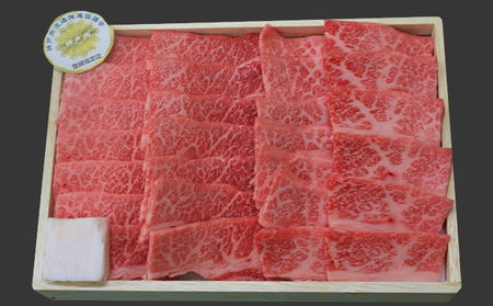 神戸牛 焼肉 食べ比べ 2種 1kg 肩 モモ 500g×2 Bセット 焼肉セット 焼き肉 牛肉 和牛 焼肉用 キャンプ BBQ アウトドア バーベキュー 黒毛和牛 お肉 冷凍 