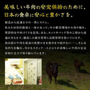 神戸牛 サーロインステーキ ブロック 2kg  牛肉 A4ランク A5ランク