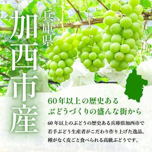 兵庫県産 シャインマスカット 2房セット（約1.2～1.5kg）種無し 皮ごと 大粒 農家直送 数量限定