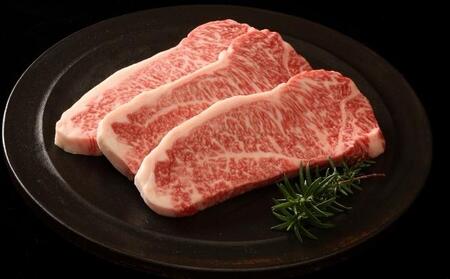 神戸牛 サーロインステーキ＆切り落とし肉 お試し用 牛肉 和牛 お肉 サーロイン ステーキ肉 切り落とし 肉 牛丼 肉じゃが 炒め物にも 黒毛和牛 冷凍