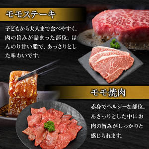 神戸牛 福袋 帝神 おまかせコース A サーロインステーキ ももステーキ もも焼肉