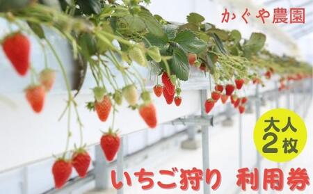 かぐや農園 いちご狩り 利用券 大人2枚《2025年12月10日～2026年5月31日ご利用可能》 体験チケット いちご狩り券 高設栽培 いちご食べ放題 フルーツ狩り お出かけ