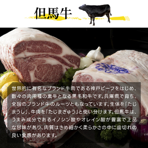  神戸牛 スジ肉 600g（300g×2パック） ヒライ牧場[ 普段使い用 ] 小分け