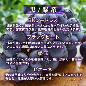兵庫県産 旬の朝採れ ぶどう 2種類セット 品種おまかせ（2kg、3～4房入） 種無し 農家直送 数量限定