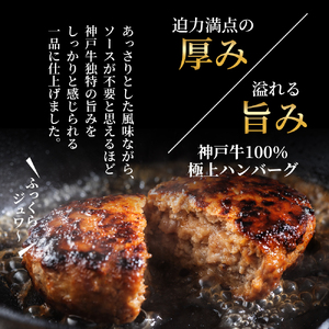 神戸牛 ハンバーグ 100g×10個  神戸ビーフ 国産 普段使い 肉 牛肉 セット 冷凍 小分け 帝神志方 夕飯 肉料理 100％神戸ビーフ 肉汁 