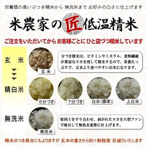 米 【令和6年産】 キヌヒカリ 5kg 精米 奥播州源流 芥田川産 芥田川 農家直送 5キロ 国産米 きぬひかり 贈り物 喜ばれる お米ギフト おいしいお米 お祝い 内祝い 贈答 美味しい おいしい 玄米