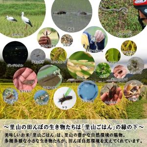 米 【令和6年産】 コシヒカリ 10kg (5kg×2)精米にて 奥播州源流 芥田川産 芥田川 農家直送 10キロ 国産米 こしひかり  贈り物 喜ばれる お米ギフト おいしいお米 お祝い 内祝い 贈答 美味しい おいしい 玄米