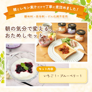 ジャム カンピー ザ・プレミアム 手造りジャム320g おためし2個セット (グリーンウッド) カンピーシリーズメーカーの酸味料・保存料・ゲル化剤を不使用の手作りジャム! 高級 こだわり 詰め合わせ セット 大容量ジャム