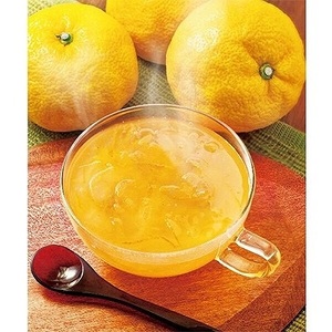 国産ゆず茶 600g　1ケース(12本入り)  カンピーゆず茶 ドリンク　大容量ゆず茶　おいしいゆず茶