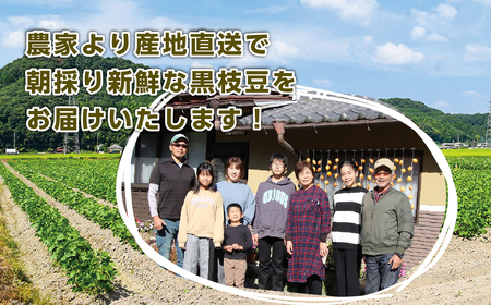 【早期予約/2026年10月発送】丹波篠山黒枝豆 1.2kg(400gx3袋) 黒枝豆 小分け CD101