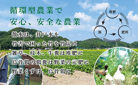 【早期予約/2026年10月発送】丹波篠山黒枝豆 1.6kg(400gx4袋) 黒枝豆 小分け CD102