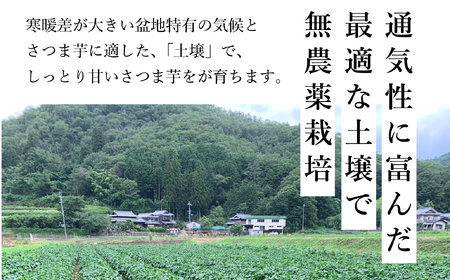 【訳あり】焼き芋 壺焼き 紅はるか 500g×2袋 焼き芋 SOY001